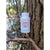 Buy 2 Get 1 Free Bottles of StoneCLR