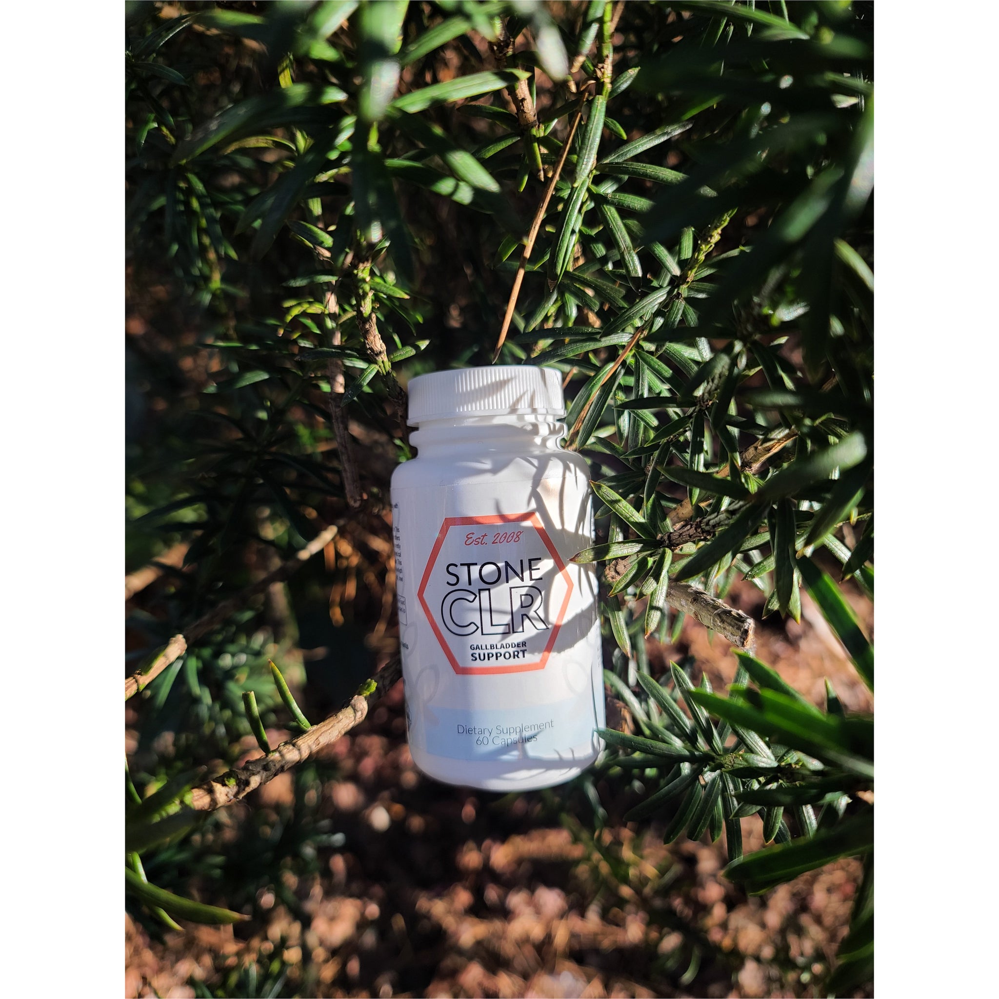 Buy 8 Get 4 Free Bottles of StoneCLR | StoneCLR